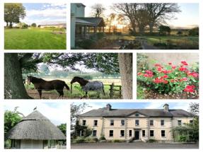 Irish Open 2022 Accommodation - Ballon, Co Carlow (40 Mins away)