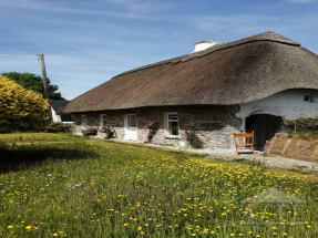 Ryder Cup 2027 Accommodation - Doneraile, Co. Cork