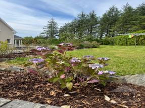 Ryder Cup 2027 Accommodation - Mountain View, Kilfenora Road, Lisdoonvarna, Co. Clare V95C9C4