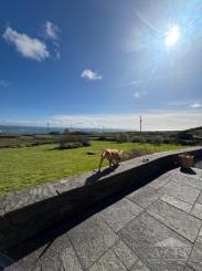 View from patio