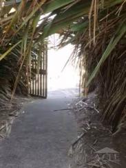 beach path from garden