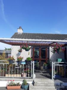 House rentals for The Horizon Irish Open 2023