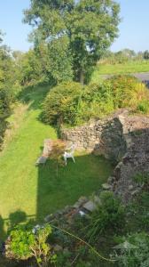 View from Balcony along the river