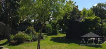 Back of the garden