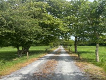 Ryder Cup 2027 Accommodation - North Cork