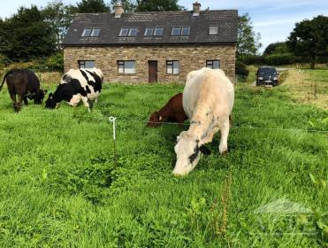 Ryder Cup 2027 Accommodation - Mountcollins