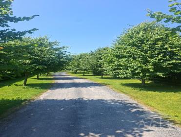 Ryder Cup 2027 Accommodation - Roscrea Co Tipperary