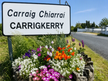Ryder Cup 2027 Accommodation - Carrigkerry Village, 20 Minutes from Adare