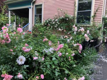 US Open 2022 Accommodation - Coolidge Corner, Brookline