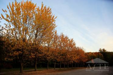 US Open 2024 Accommodation - Whispering Pines