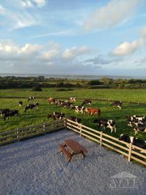 Ryder Cup 2027 Accommodation - Glin/Tarbert