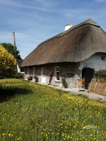 Ryder Cup 2027 Accommodation - Doneraile, Co. Cork