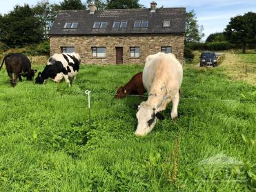 Ryder Cup 2027 Accommodation - Mountcollins