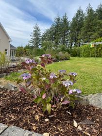 Ryder Cup 2027 Accommodation - Mountain View, Kilfenora Road, Lisdoonvarna, Co. Clare V95C9C4