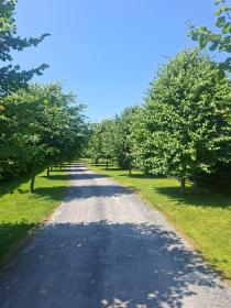 Ryder Cup 2027 Accommodation - Roscrea Co Tipperary