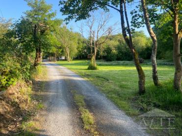 Ryder Cup 2027 Accommodation - Kildimo, County Limerick