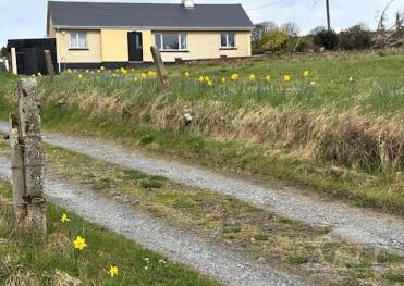 Ryder Cup 2027 Accommodation - 36Km from Adare