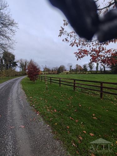 5 Bed Manor in Newport, Co. Tipperary